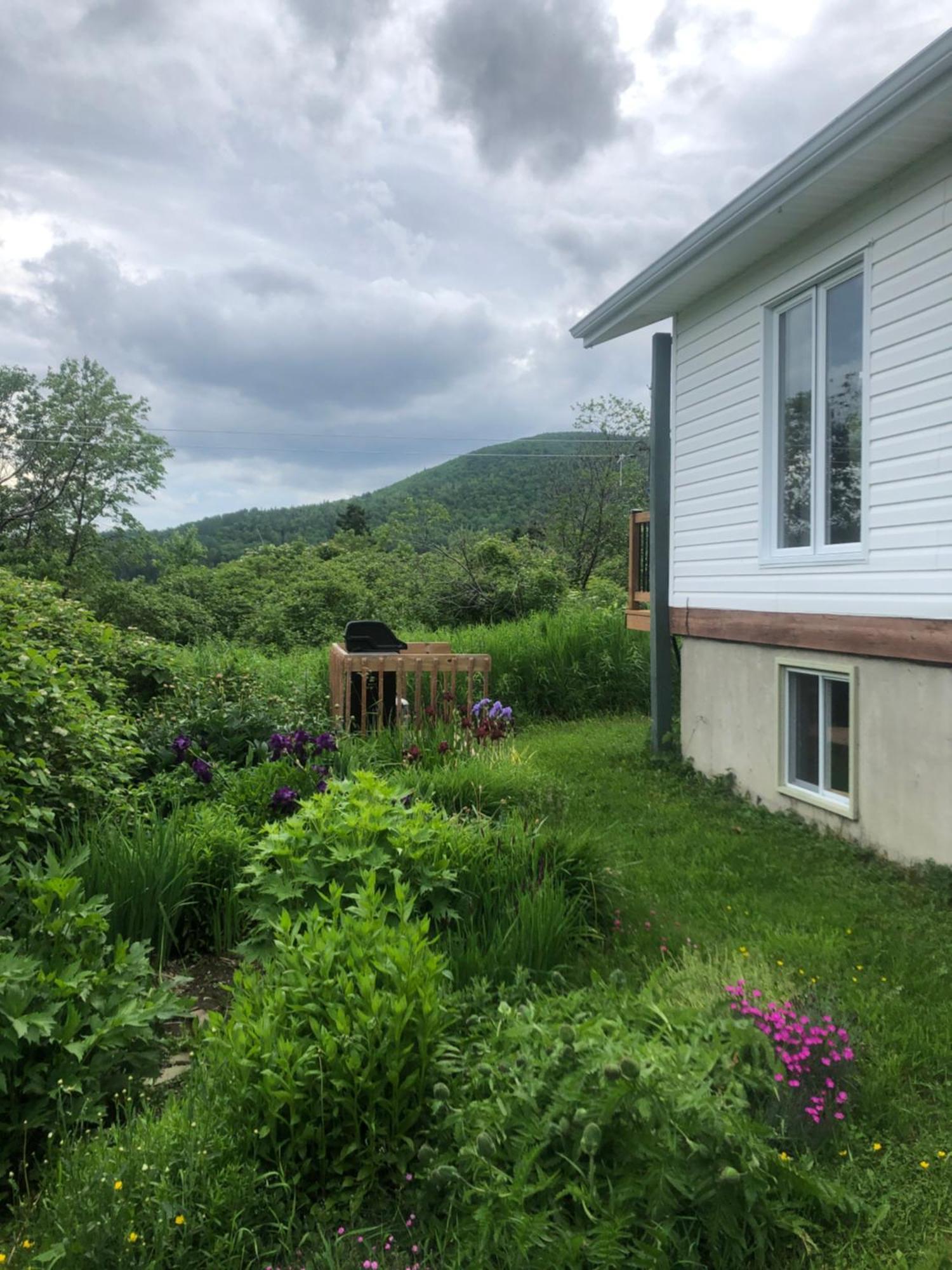 Chalets Les Chanterelles De Forillon L'Anse-au-Griffon ภายนอก รูปภาพ